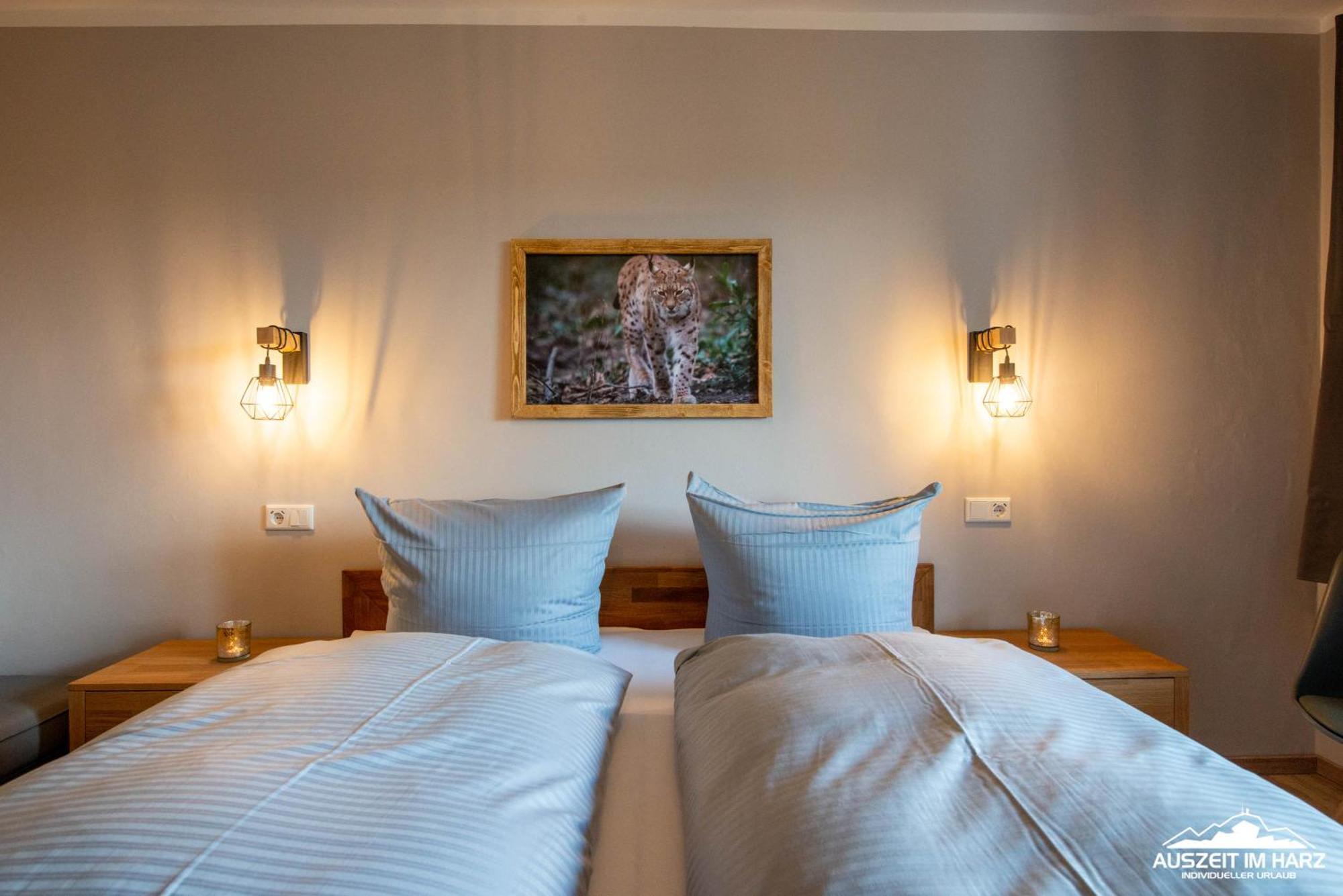 Auszeit-Im-Harz Haus 3 Wohnung 3 布劳恩拉格 外观 照片