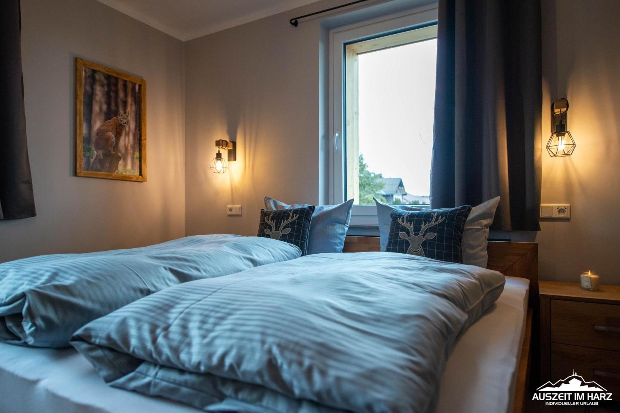 Auszeit-Im-Harz Haus 3 Wohnung 3 布劳恩拉格 外观 照片