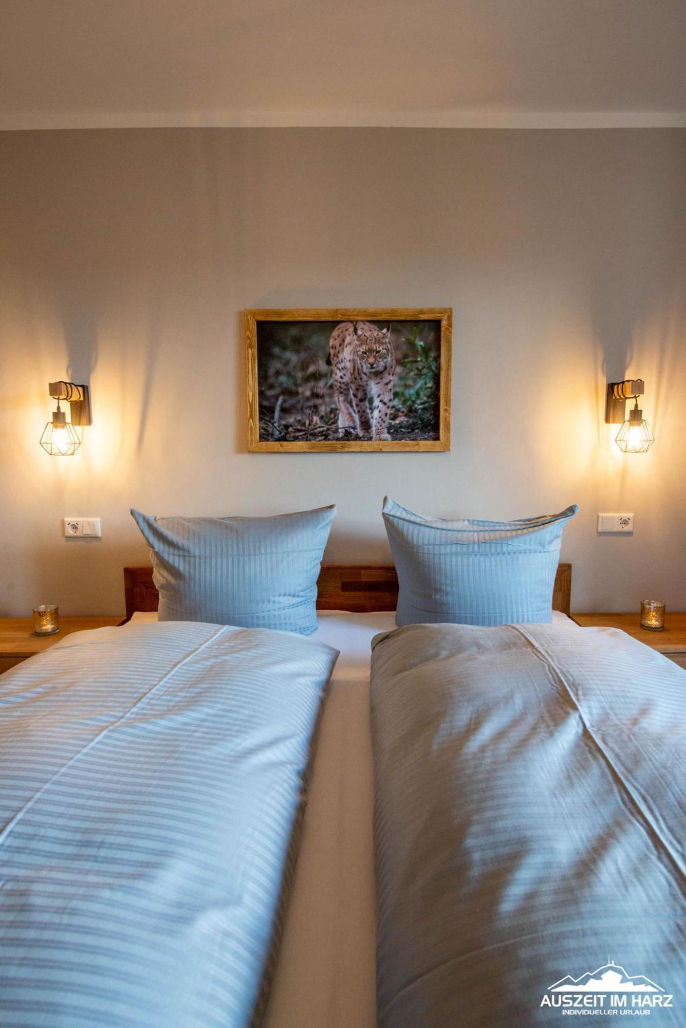 Auszeit-Im-Harz Haus 3 Wohnung 3 布劳恩拉格 外观 照片