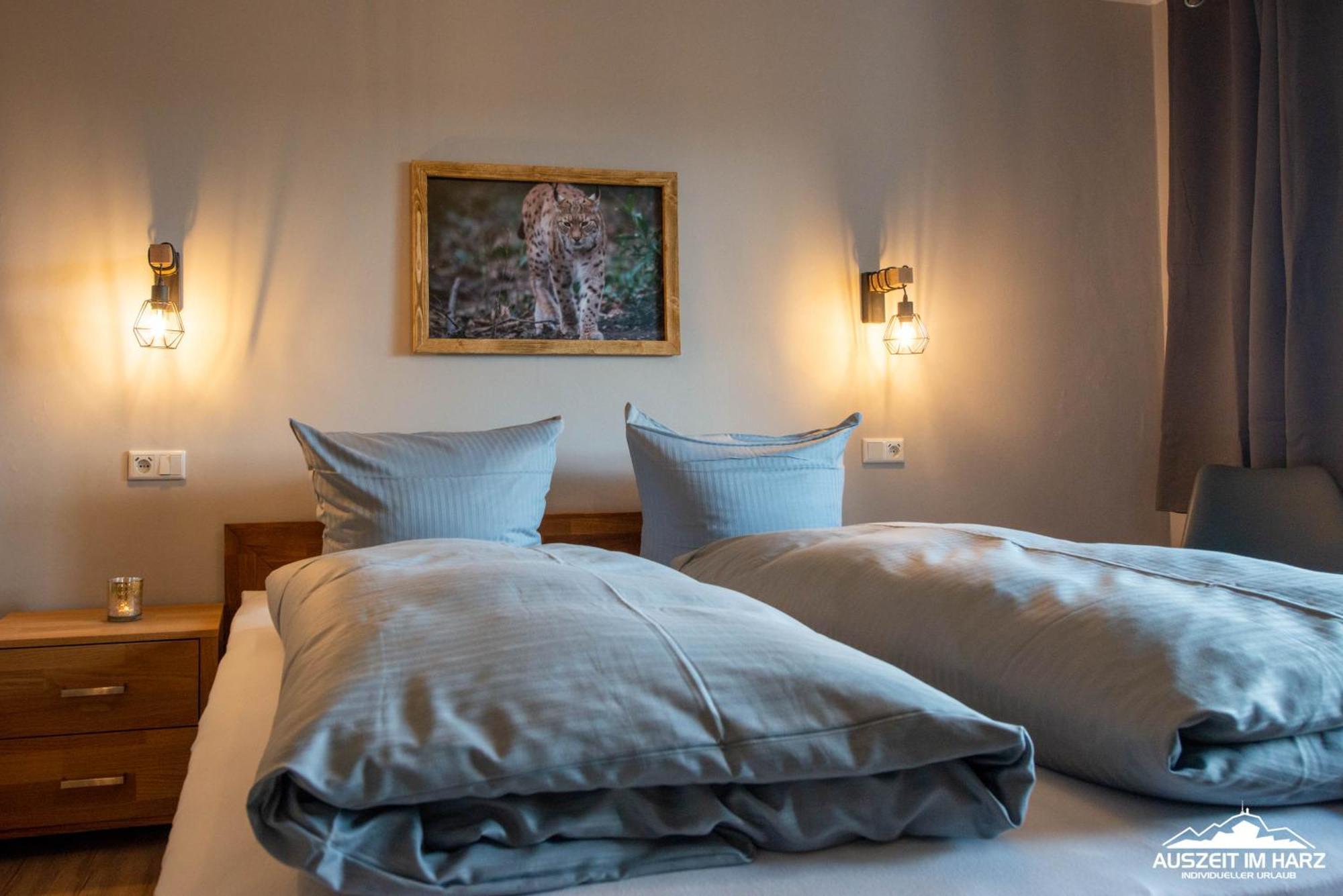 Auszeit-Im-Harz Haus 3 Wohnung 3 布劳恩拉格 外观 照片