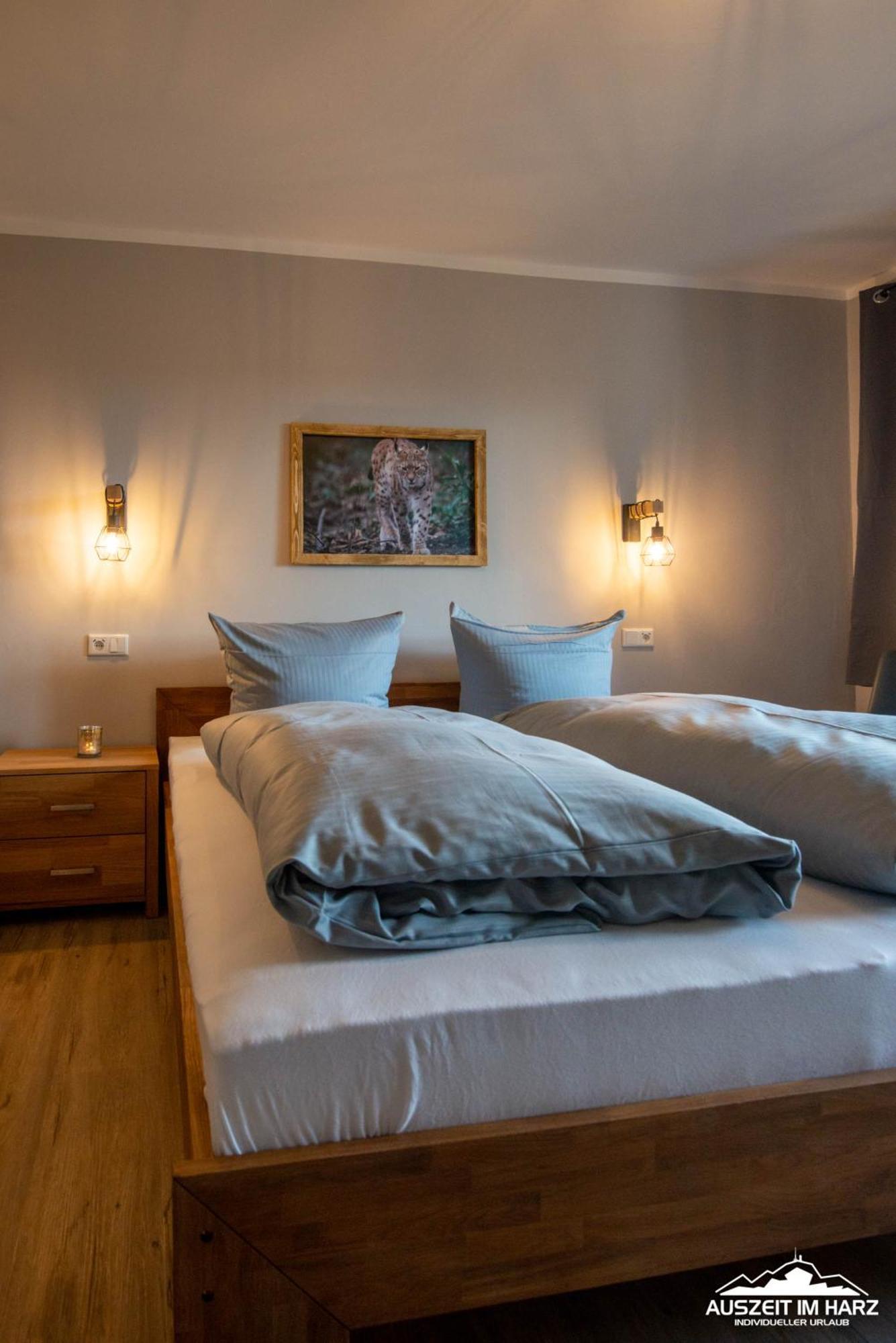Auszeit-Im-Harz Haus 3 Wohnung 3 布劳恩拉格 外观 照片